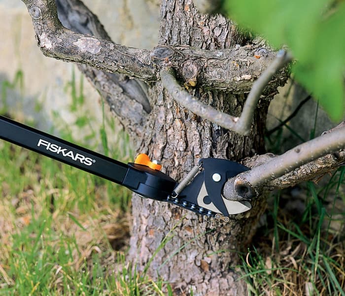 When to Use a Lopper and Tree Pruner