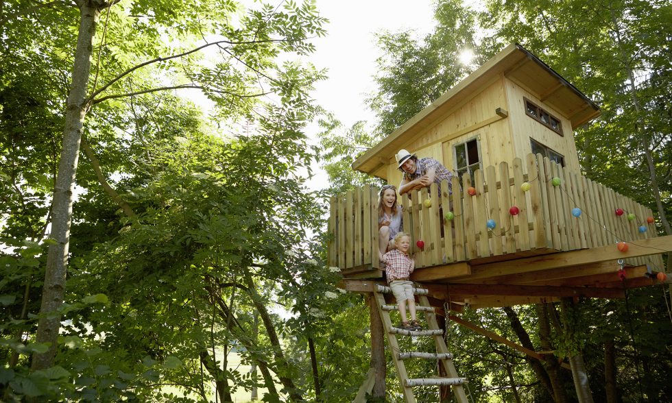 Do Treehouses Damage Trees?