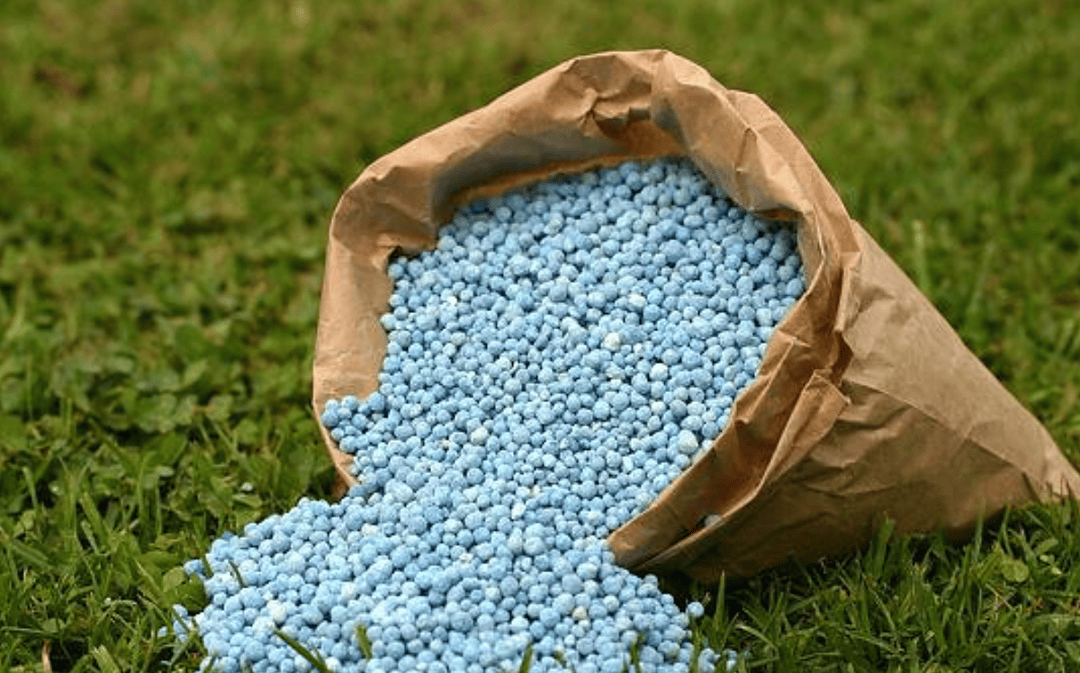 Slow-release vs. Quick-release Fertilizer: Which One is Best