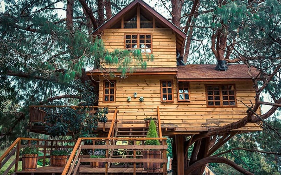 Tips On Safely Constructing A Tree House