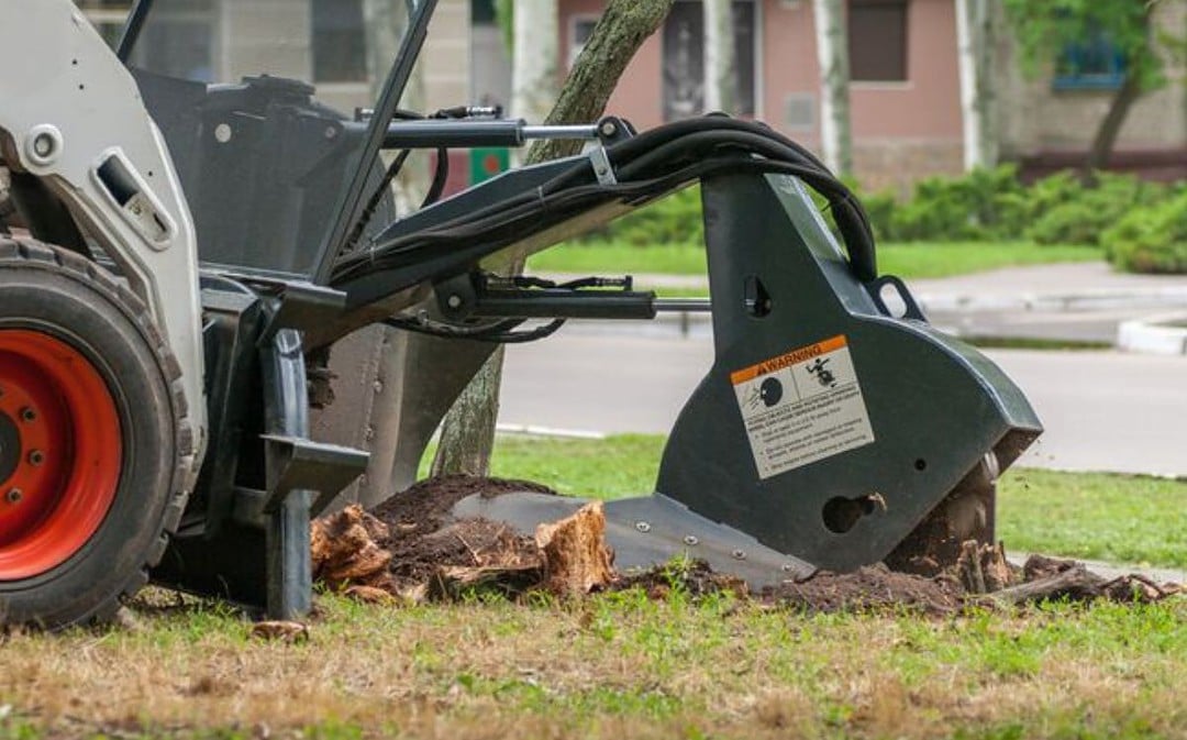 How Does Stump Grinding Work?