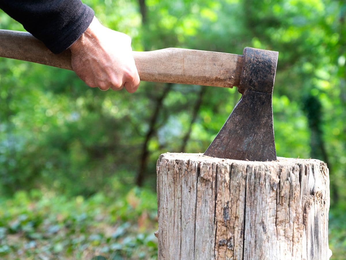 do-it-yourself-how-to-remove-tree-stump