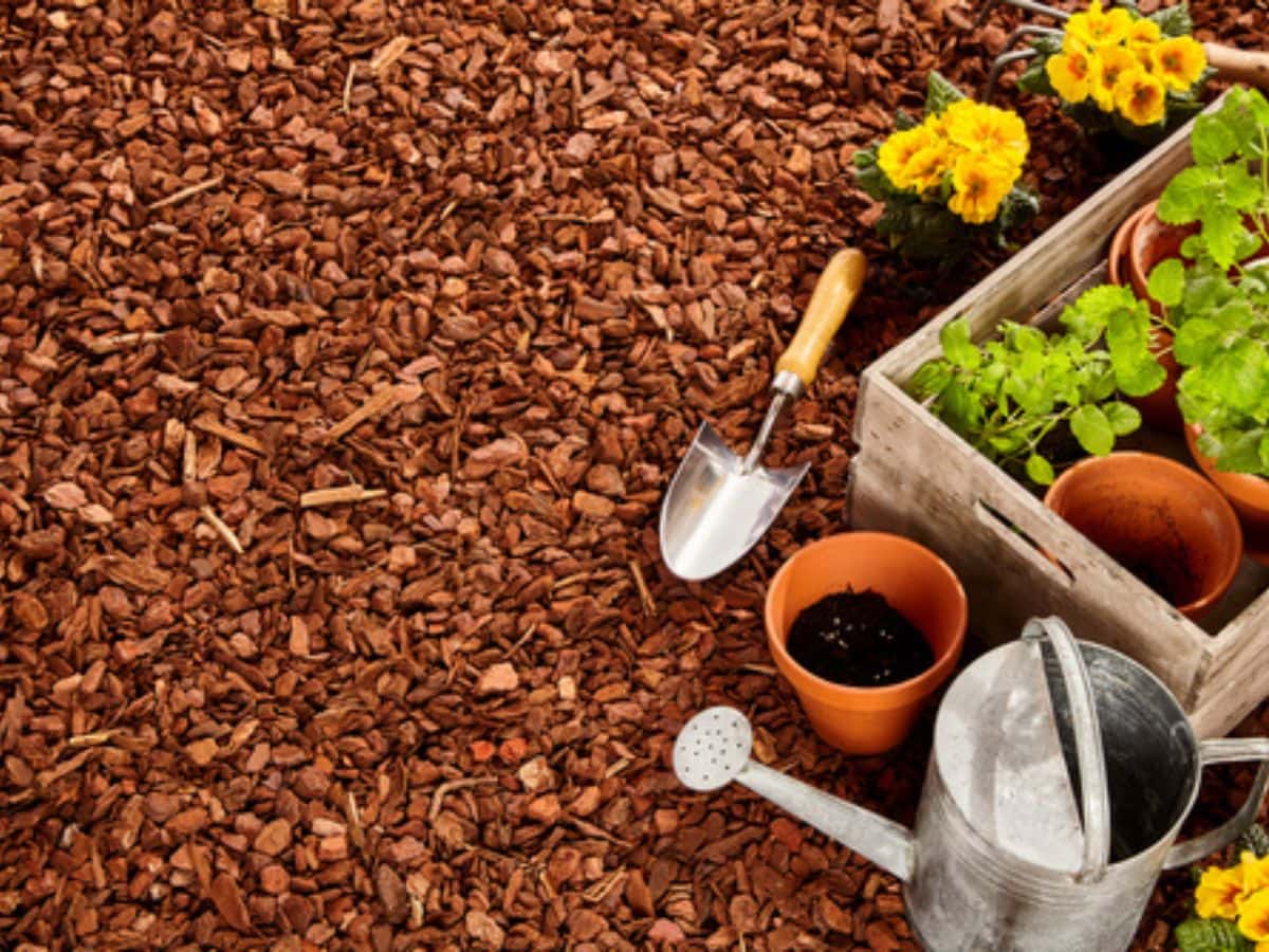 How To Store Wood Chips