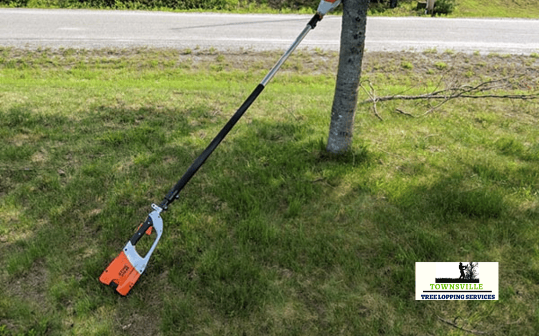 Is A Pole Saw Worth It?