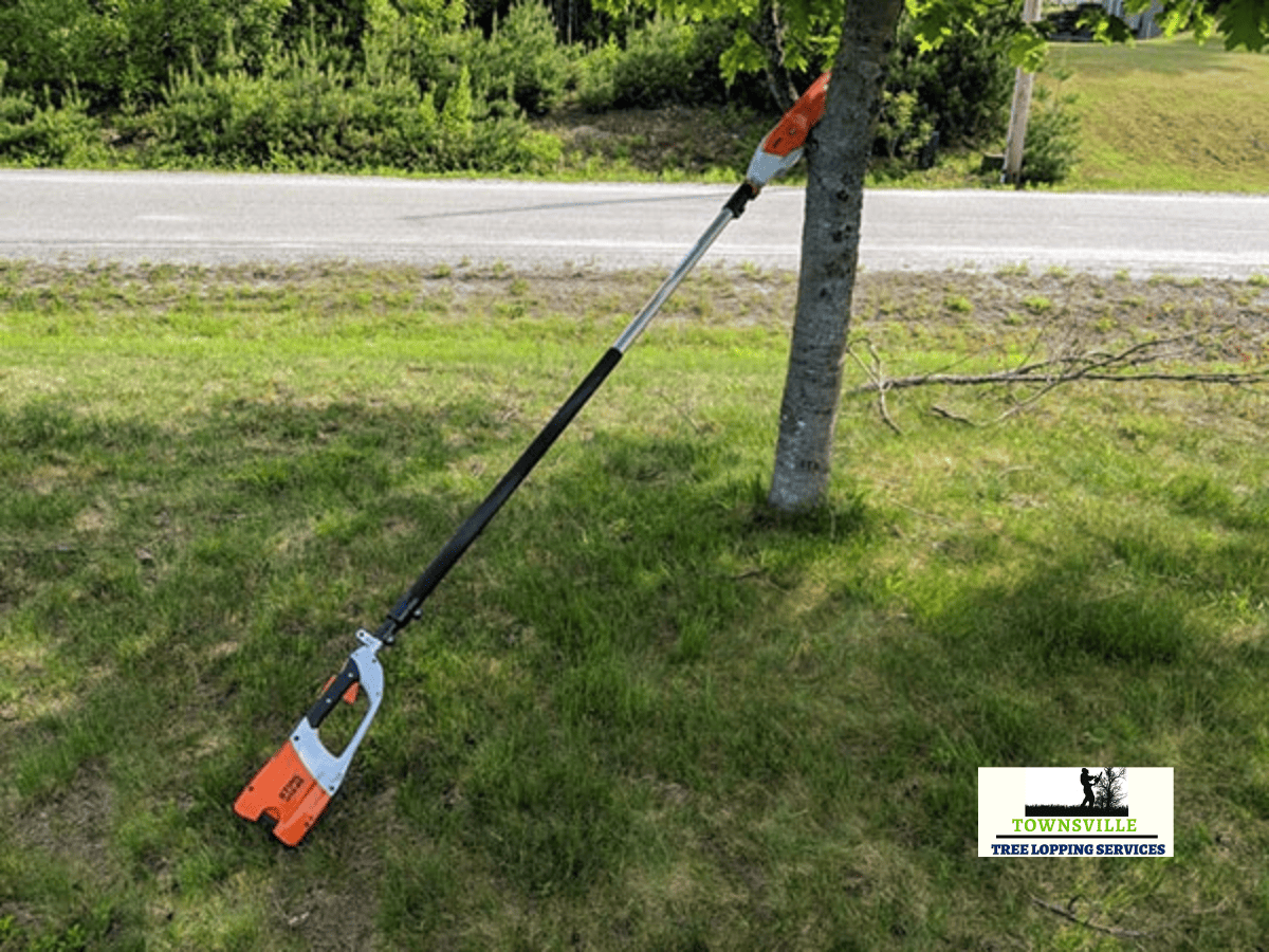 Is A Pole Saw Worth It?