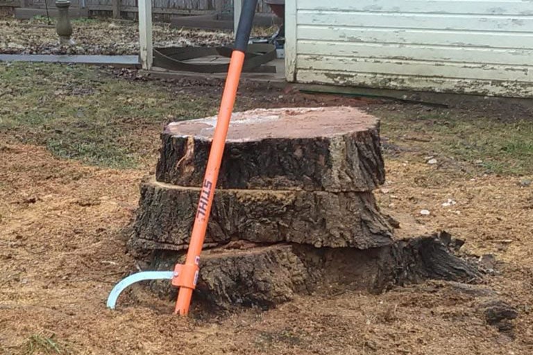 Do it yourself stump removal?