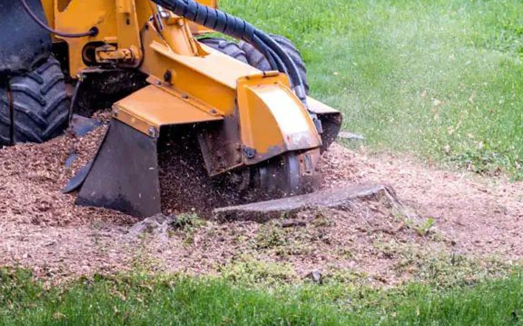 What is the fastest way to remove a tree stump?