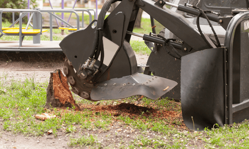 Tips and Techniques For Stump Removal
